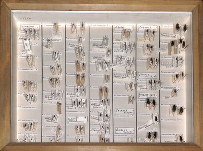 boite 2 z5cm r180 600dpi.jpg