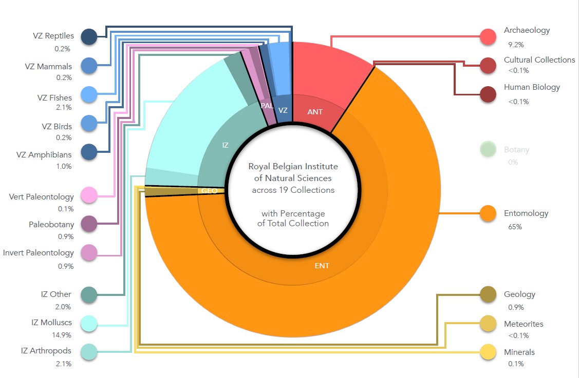 collections divisions.jpg