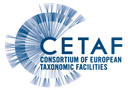 cetaf_logo_rgb_72dpi cropped.png
