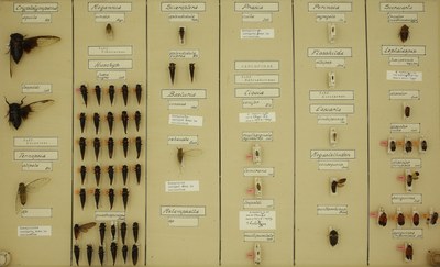 Box 128.jpg