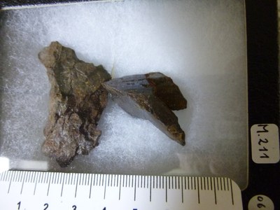 M211 Vaca Muerte