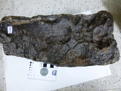 M342 NWA 869