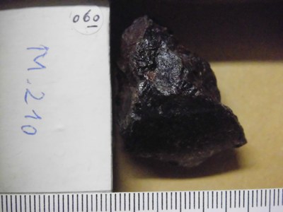 M210 Vaca Muerta