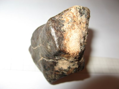 M488 NWA 6788