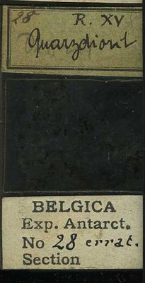 belgica antarctica expeditie  28b.jpg