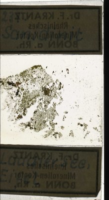 RR7795 Sanidinit.jpg