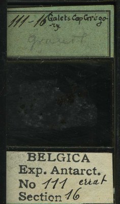 belgica antarctica expeditie 111.16b.jpg
