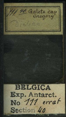 belgica antarctica expeditie 111.40b.jpg