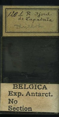 belgica antarctica expeditie 120b.jpg