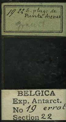 belgica antarctica expeditie  19.22b.jpg