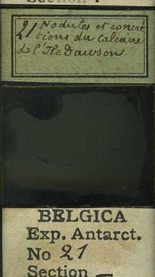 belgica antarctica expeditie  21b.jpg