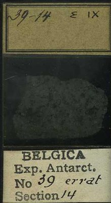 belgica antarctica expeditie  39.14b.jpg