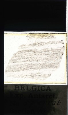 belgica antarctica expeditie 57.10a.jpg