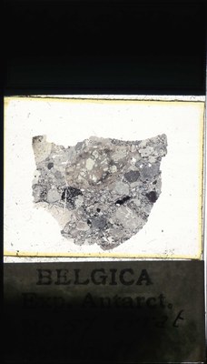 belgica antarctica expeditie 57.11a.jpg