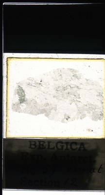 belgica antarctica expeditie 57.12a.jpg