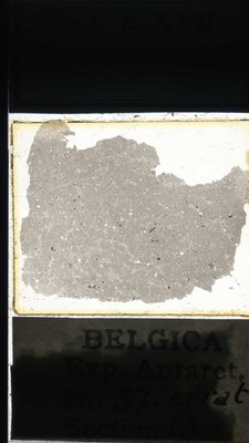 belgica antarctica expeditie 57.13a.jpg