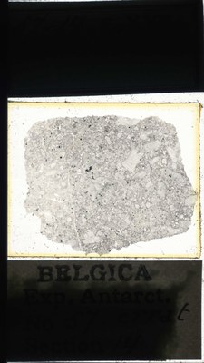 belgica antarctica expeditie 57.14a.jpg