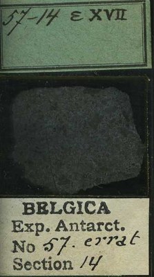 belgica antarctica expeditie 57.14b.jpg
