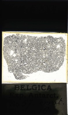 belgica antarctica expeditie 57.16a.jpg