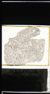 belgica antarctica expeditie 57.17a.jpg