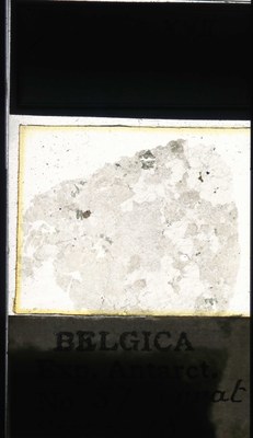 belgica antarctica expeditie 57.18a.jpg