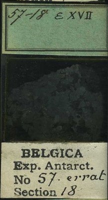 belgica antarctica expeditie 57.18b.jpg