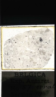 belgica antarctica expeditie 57.19a.jpg