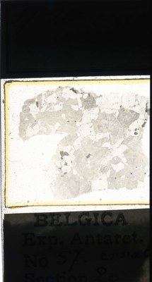 belgica antarctica expeditie 57.20a.jpg