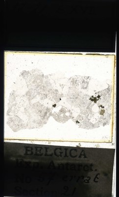 belgica antarctica expeditie 57.21a.jpg