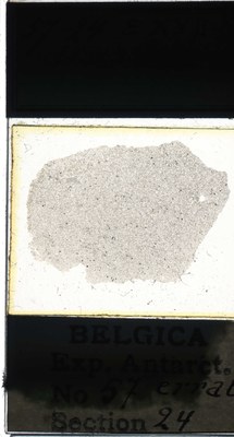 belgica antarctica expeditie 57.24a.jpg