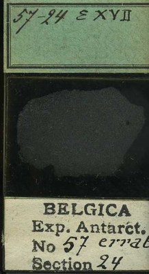 belgica antarctica expeditie 57.24b.jpg