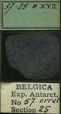 belgica antarctica expeditie 57.25b.jpg