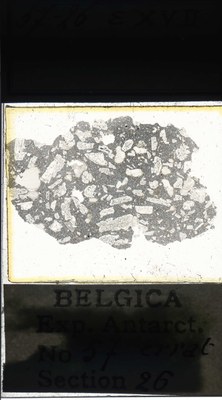 belgica antarctica expeditie 57.26a.jpg