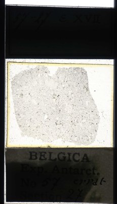 belgica antarctica expeditie 57.27a.jpg