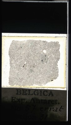 belgica antarctica expeditie 57.31a.jpg
