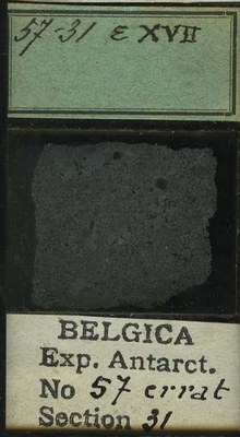 belgica antarctica expeditie 57.31b.jpg