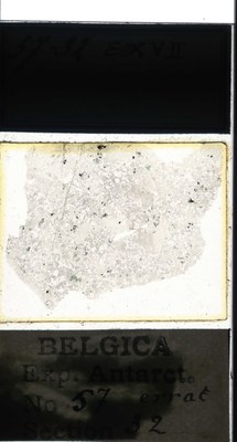 belgica antarctica expeditie 57.32a.jpg