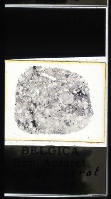 belgica antarctica expeditie 57.33a.jpg