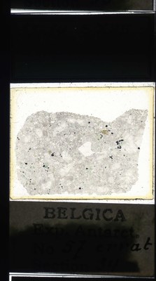 belgica antarctica expeditie 57.34a.jpg
