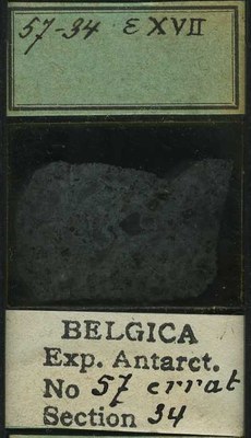 belgica antarctica expeditie 57.34b.jpg