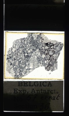 belgica antarctica expeditie 57.36a.jpg