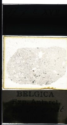 belgica antarctica expeditie 57.7a.jpg