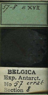 belgica antarctica expeditie 57.8b.jpg