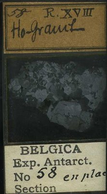 belgica antarctica expeditie 58b.jpg