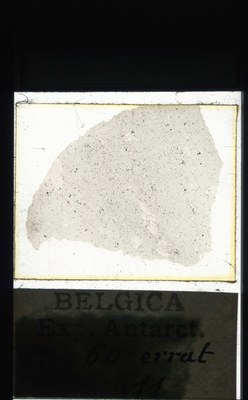 belgica antarctica expeditie 60.11a.jpg