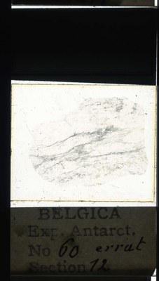 belgica antarctica expeditie 60.12a.jpg