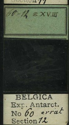 belgica antarctica expeditie 60.12b.jpg