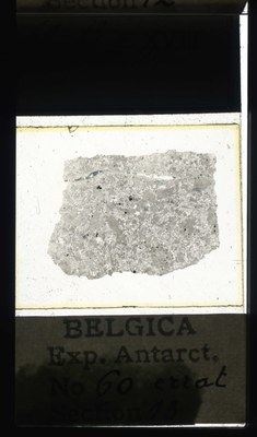 belgica antarctica expeditie 60.13a.jpg