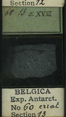 belgica antarctica expeditie 60.13b.jpg