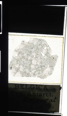 belgica antarctica expeditie 60.19a.jpg